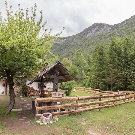 Villa Lizina Hiska House Bohinj Bohinjska Bistrica Esterno foto