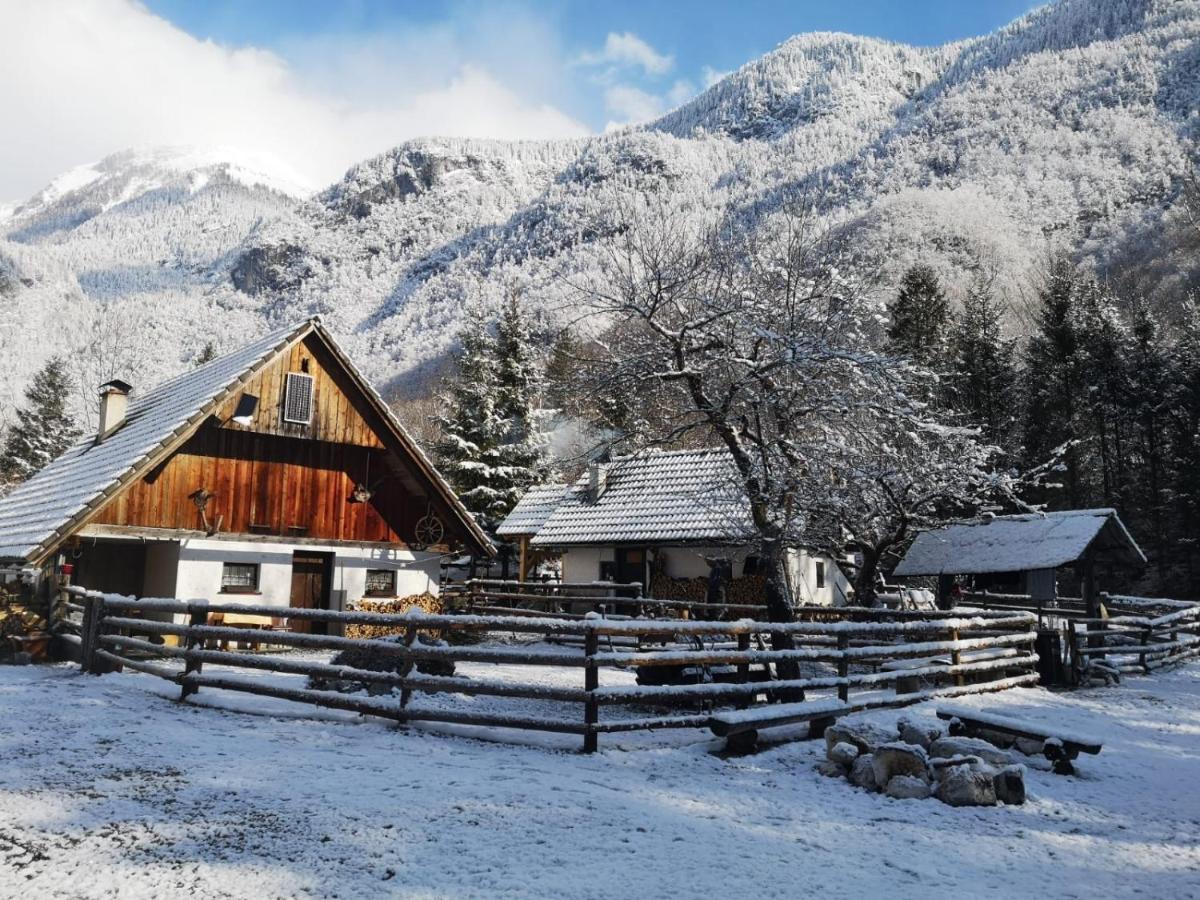 Villa Lizina Hiska House Bohinj Bohinjska Bistrica Esterno foto
