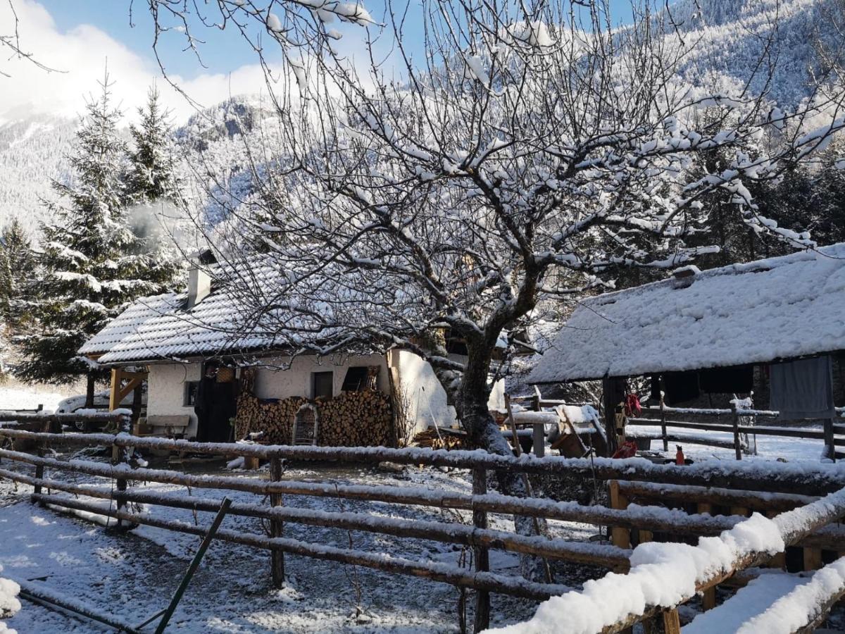 Villa Lizina Hiska House Bohinj Bohinjska Bistrica Esterno foto