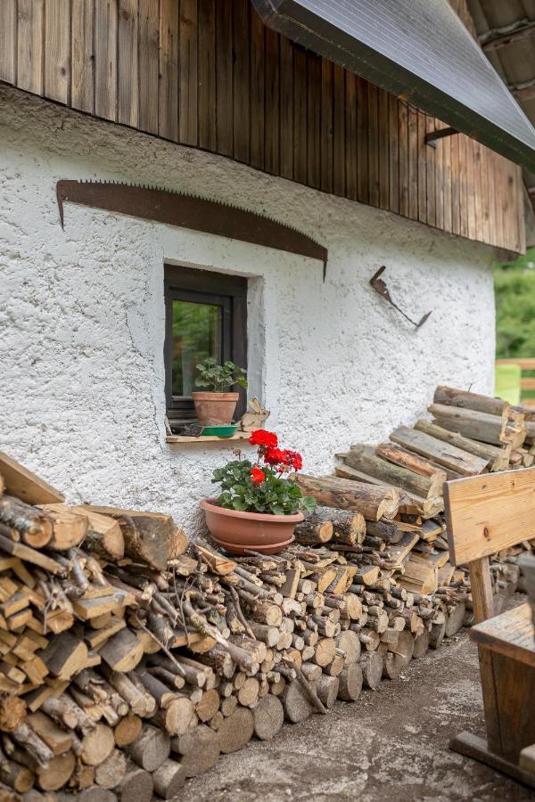 Villa Lizina Hiska House Bohinj Bohinjska Bistrica Esterno foto