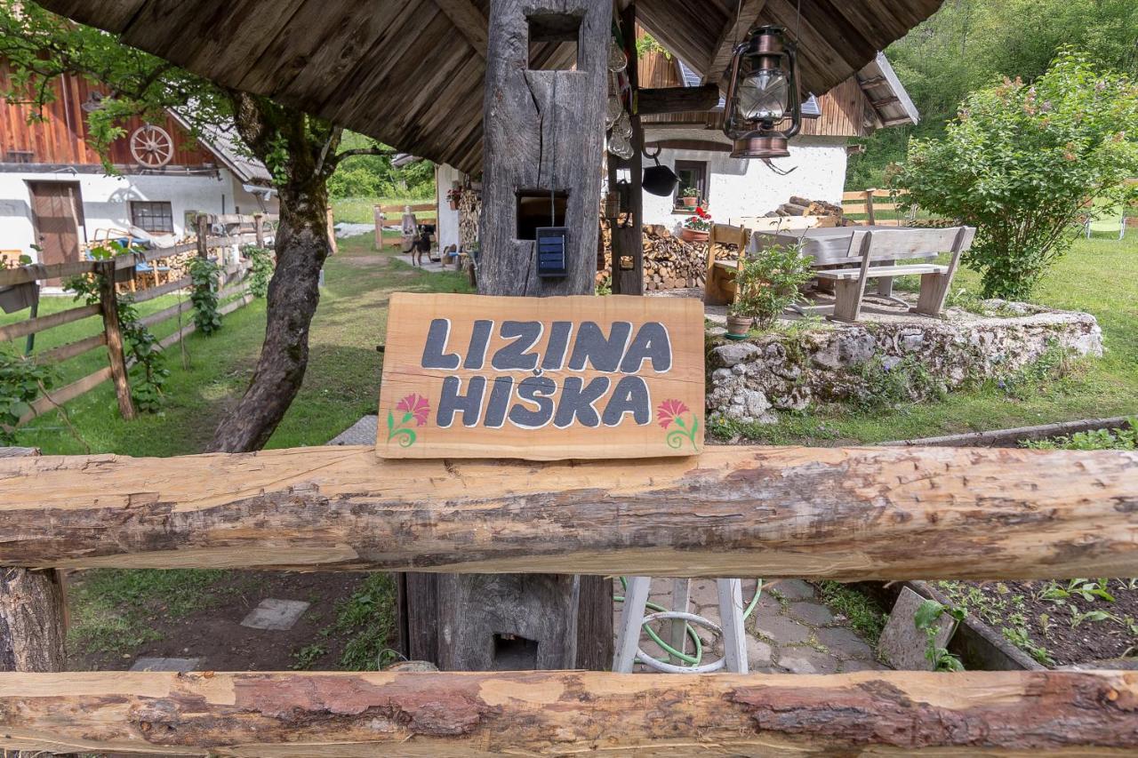 Villa Lizina Hiska House Bohinj Bohinjska Bistrica Esterno foto