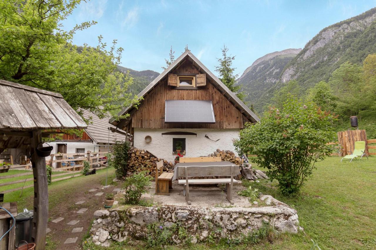 Villa Lizina Hiska House Bohinj Bohinjska Bistrica Esterno foto